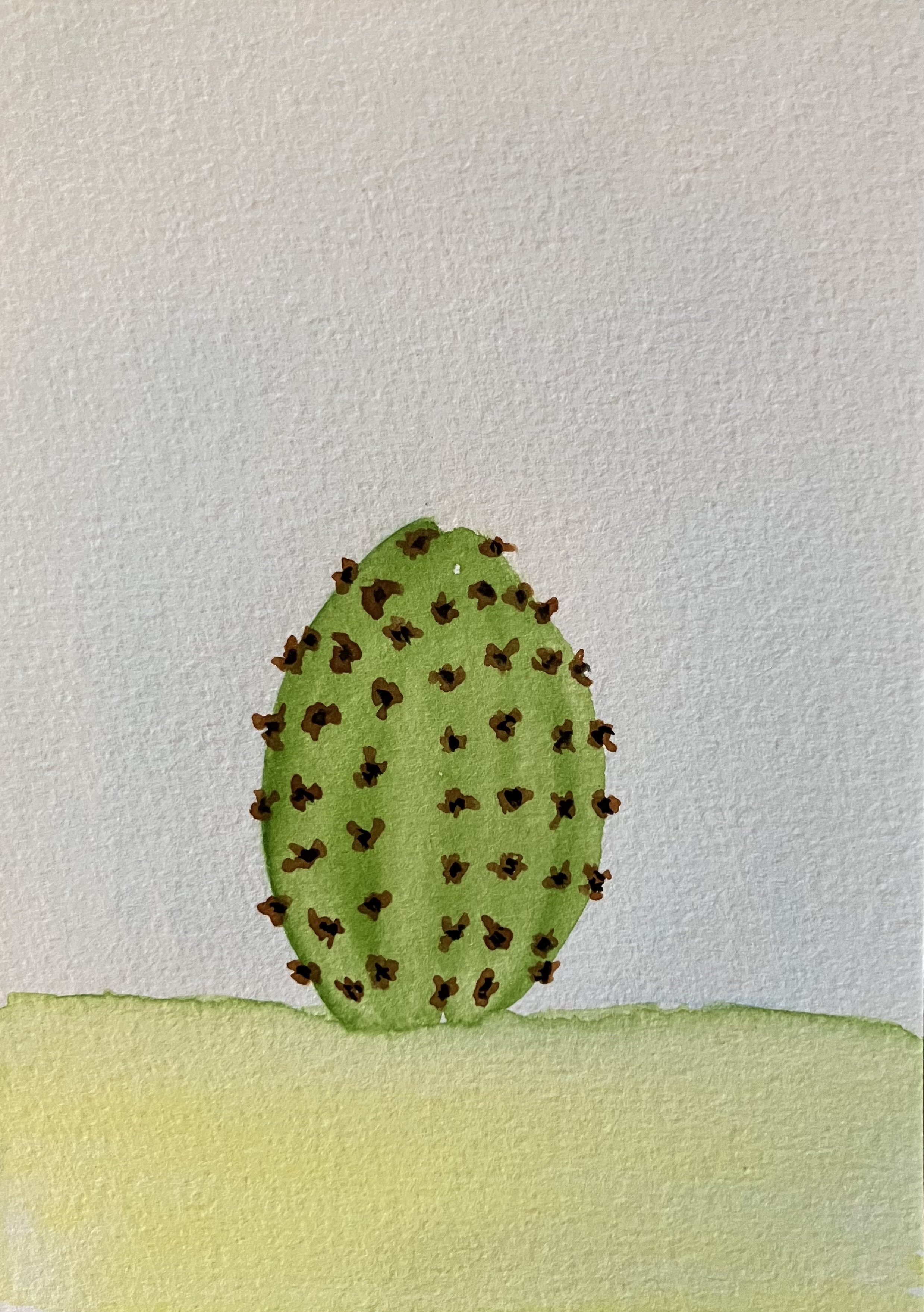 Cactus