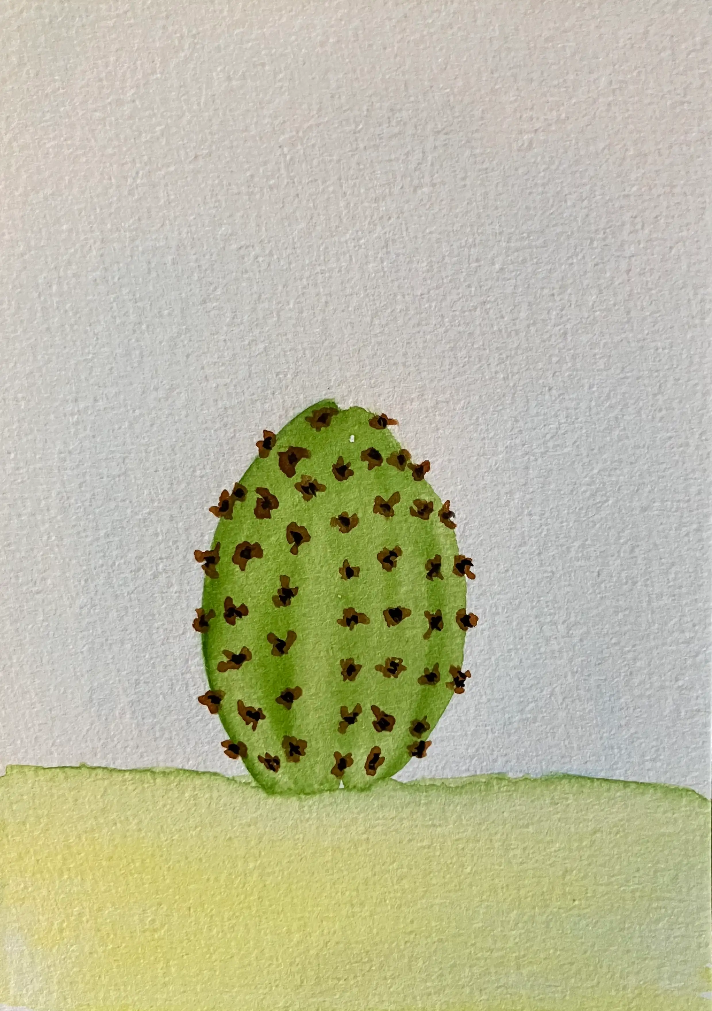 Cactus